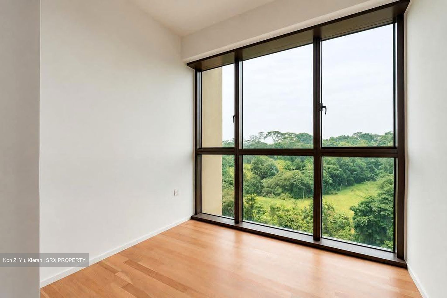 Pinetree Hill (D21), Condominium #638255341